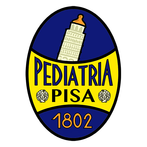 Università degli Studi di Pisa - PSG 2025