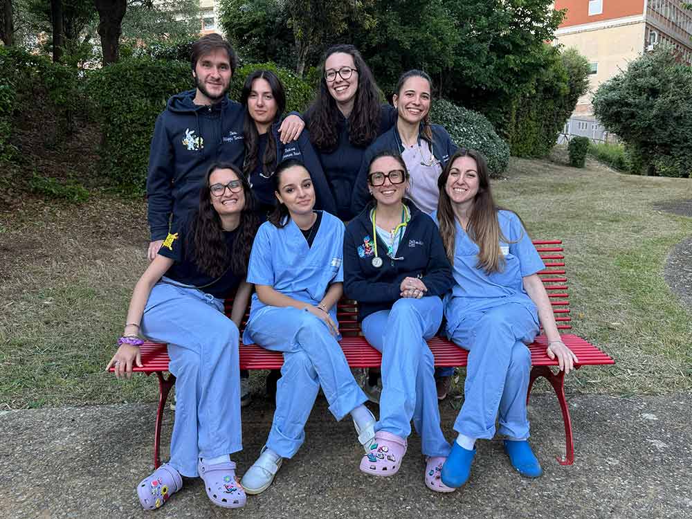 2026 Università degli studi di Verona